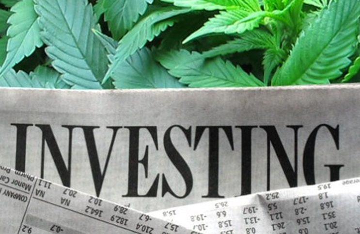 cannabis stocks to buy