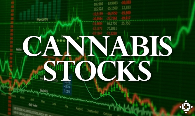 cannabis stocks